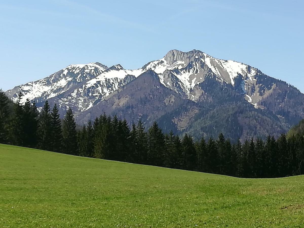 Appartment Haring Hollenstein an der Ybbs Exteriér fotografie